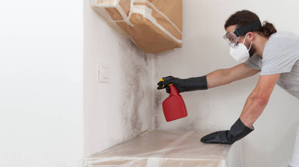 Professional Attic Mold Removal technician working in Hanscom AFB, MA