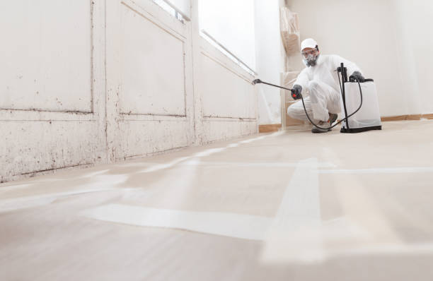 24/7 Emergency Attic Mold Removal experts in Hanscom AFB, MA